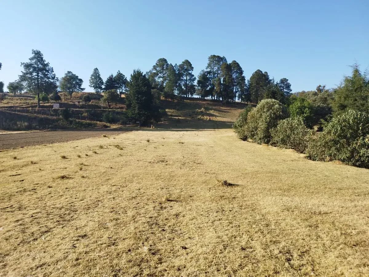 Terreno en Mezapa la Fábrica, Xalatlaco